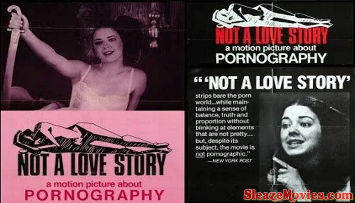 Not A Love Story A Film About Pornography