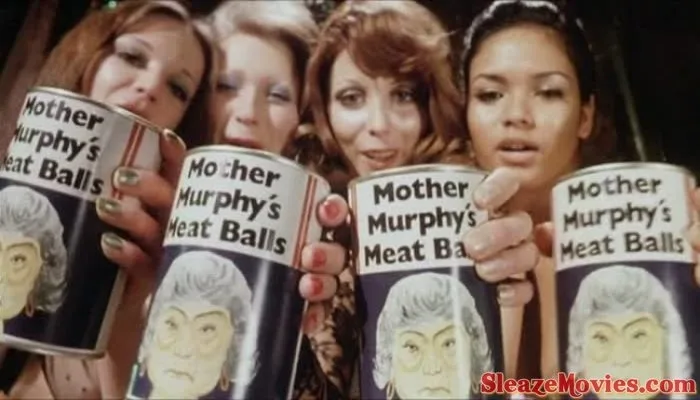 Around the World with Fanny Hill (1974) watch online