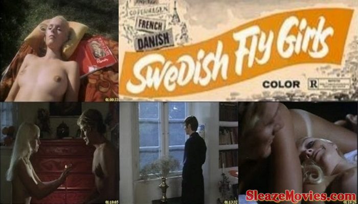 Swedish Fly Girls (1971) watch online