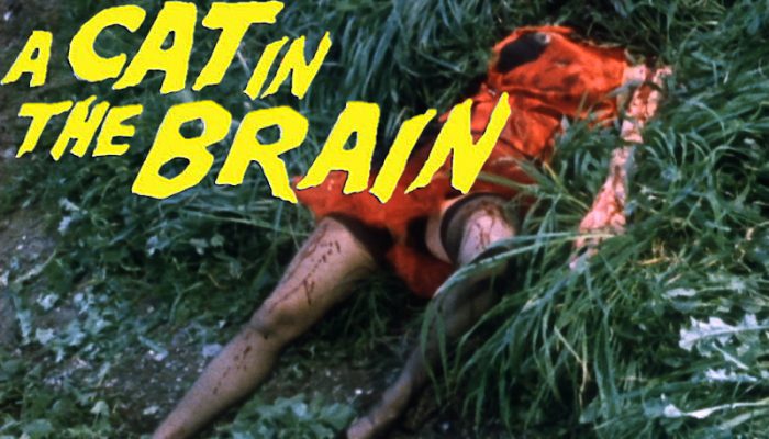 Nightmare Concert aka Cat in the Brain (1990) watch online