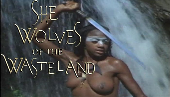 She Wolves of the Wasteland (1988) watch online