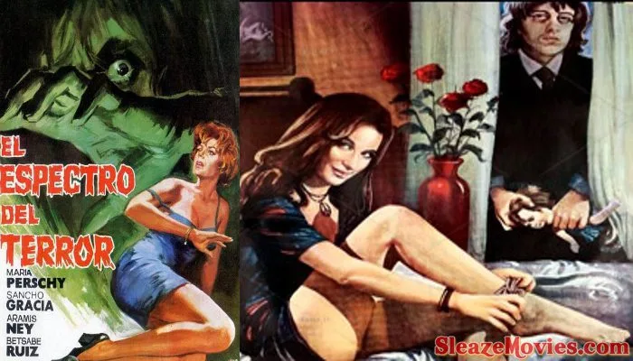 The Specter of Terror (1973) watch online
